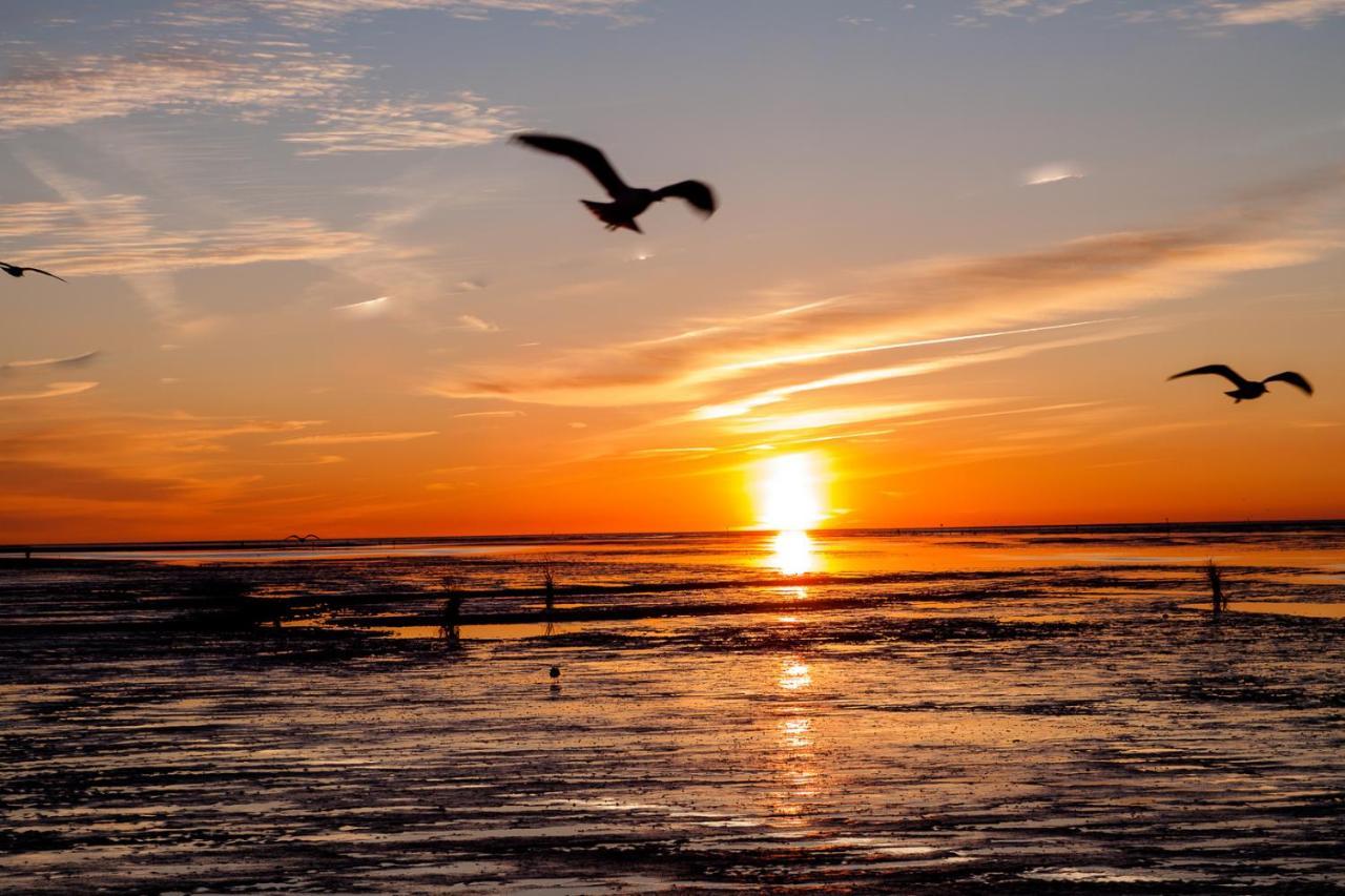 Landhaus Braband Ferienwohnungen - Gustav-Schoenleber-Weg 2 Cuxhaven Esterno foto